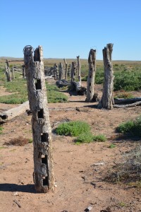 Old hand carved fence posts tell the story of the hard working pioneers