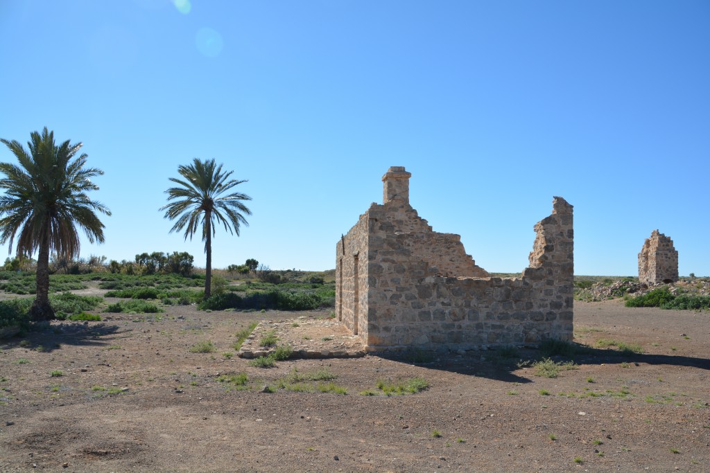 Dalhousie Station was established more than 120 years ago and today only a few stone walls and the palms trees remain