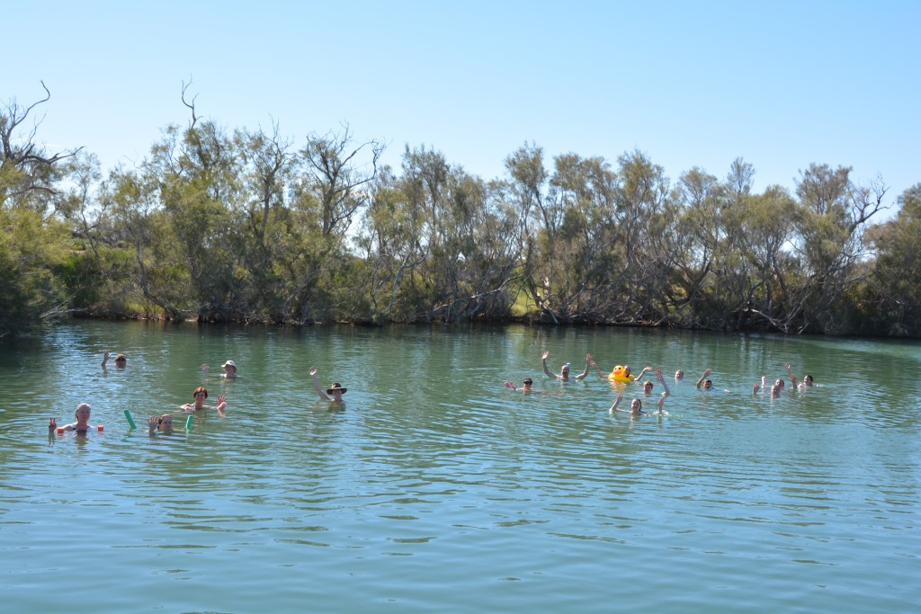 Where's that desert again? Swimming in the very warm waters of Dalhousie Springs