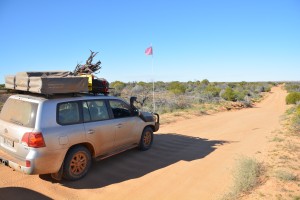 The Cruiser stops for photos and to enjoy the lush desert scene