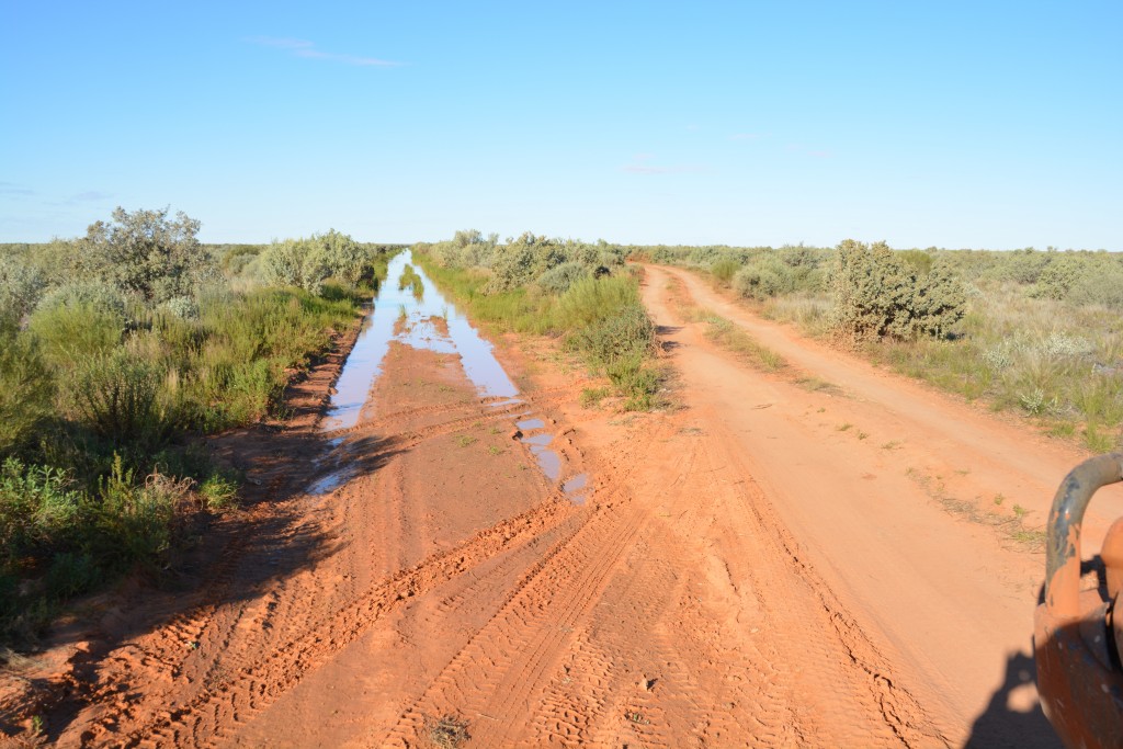 Which track should I take? Recent flooding created many detours