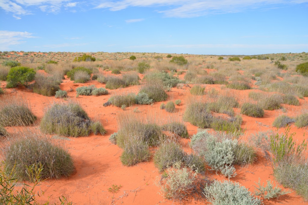 You gotta love this stuff!