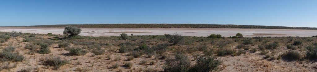 A panoramic shot of one of the defining views in this part of the Simpson Desert