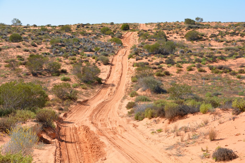 A long steady sand dune requires just the right speed to make it over the top without bouncing too hard on the deep ruts