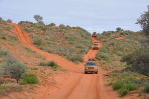 Many of the larger dunes had multiple tracks up and over to give the drivers some choices