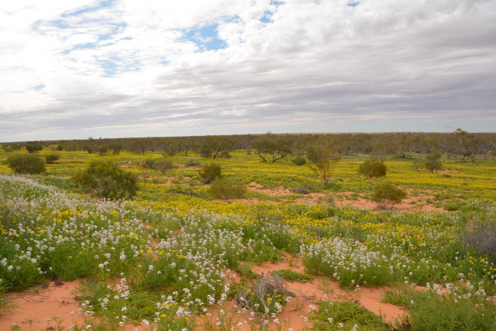 And sometimes you get both colours