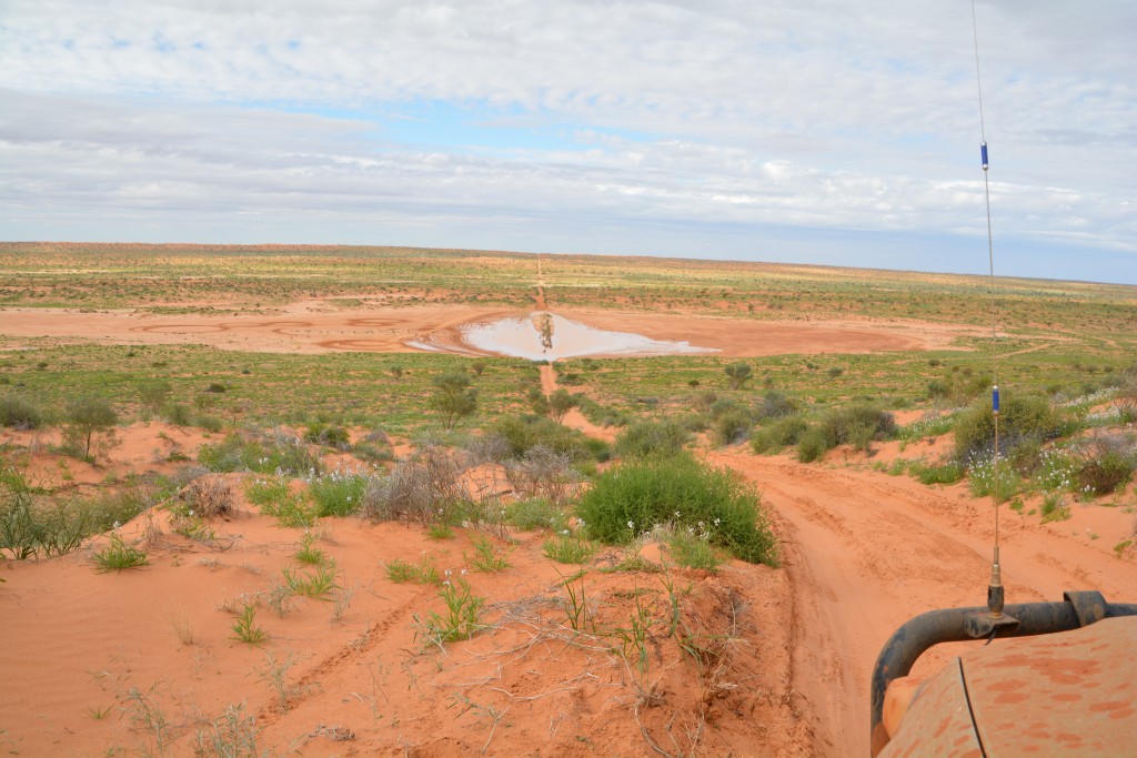 Sometimes the dry salt beds weren't so dry and we would have to decide whether to go straight through or detour around