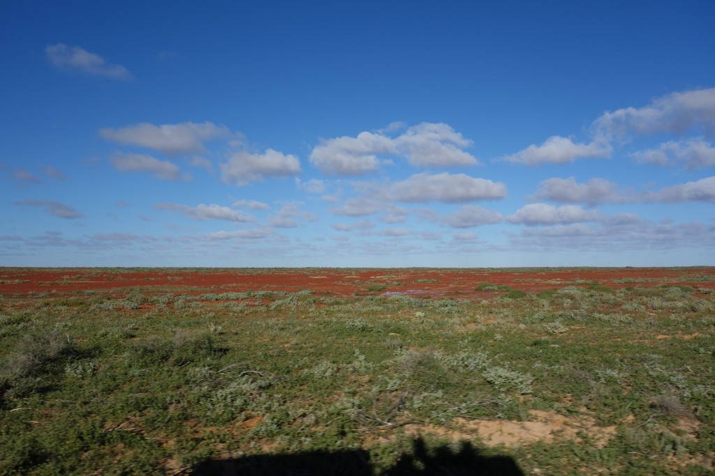 The land south of Birdsville is flat and motionless...and beautiful
