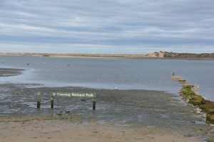 IT doesn't look like much here but the mouth of the mighty Murray River is pretty cool