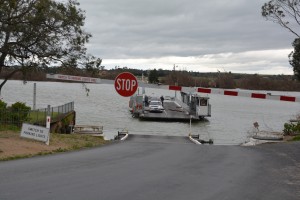 Our cable ferry took us back across the Murray River
