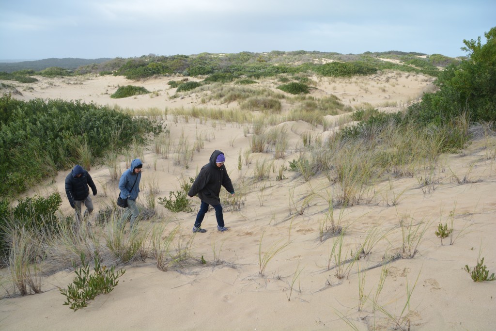 We explored these sand dunes on the edge of the Southern Ocean