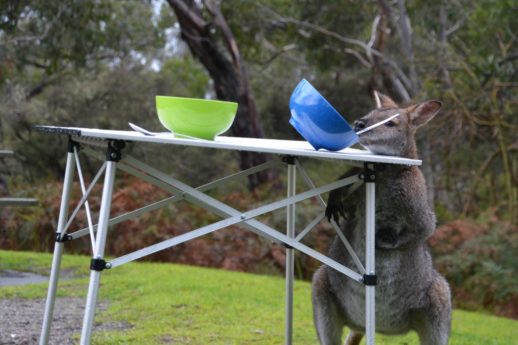 Lefty had no fear and a hankering for breakfast cereal