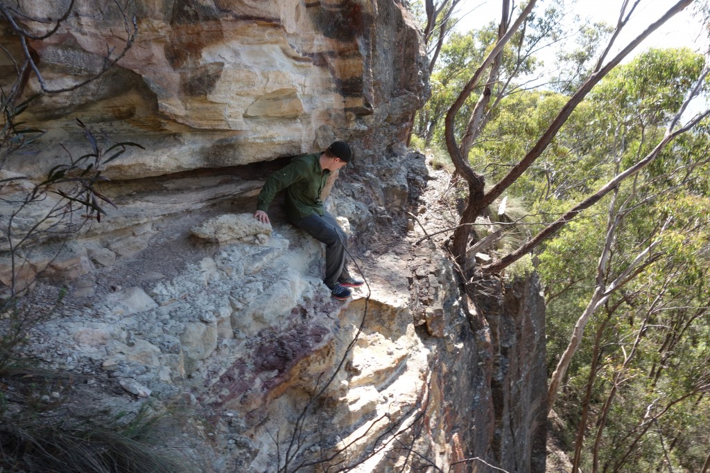 Zach and I did get a great bushwalk in before the festive season - and it got a little tricky at times