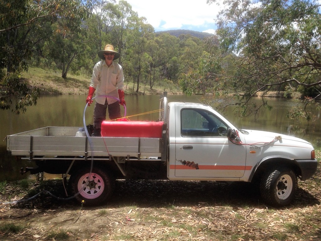 The Monday before Christmas marked the first day of my first retirement - and I was hard at work on the property