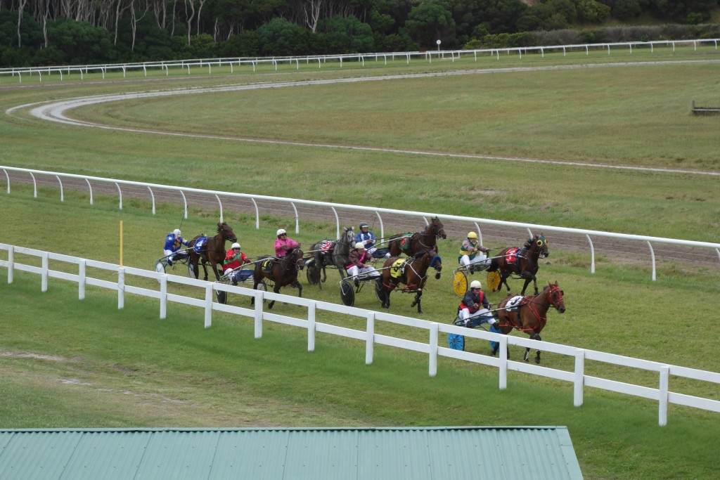 The King Island Races features both pacers and gallopers on the same track - a very rare sight