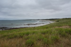 Porky Beach, near where Saan, Trish and Roger grew up
