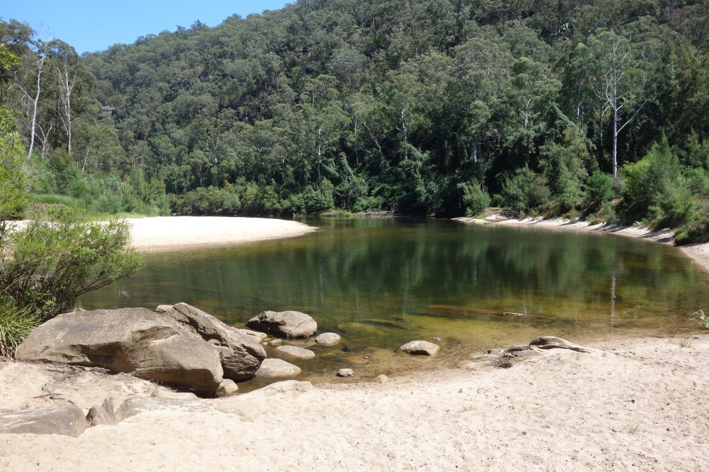 The Colo River was a beautiful setting for our picnic and a welcome place to swim in 37 degree heat