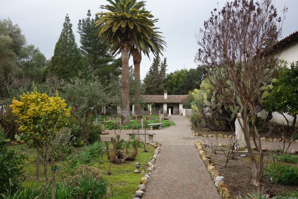 The gardens of the mission had many different types of cacti 