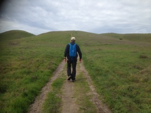 We had some free time to do a couple of walks - including across lush green fields courtesy of all the recent rain