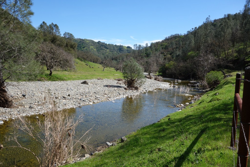Great scenes along the banks of the creek leading into our ranch