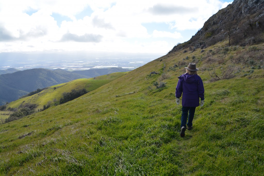 Julie walking along a trackless ridge to catch views of Salinas Valley far below