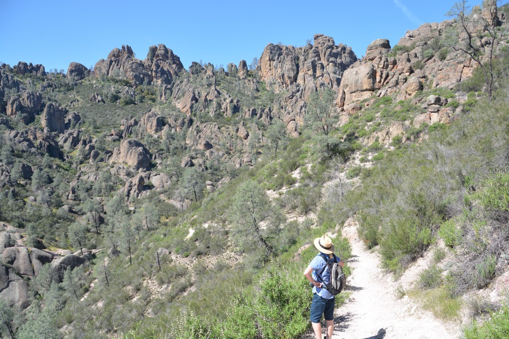 One more shot of the Pinnacles - great stuff!