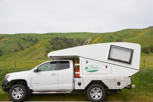 Tramp rests patiently on the side of the road amongst beautiful green rolling hills