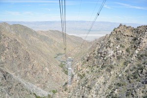 The aerial tramway at glitzy Palm Springs whisks you from the desert to the snow