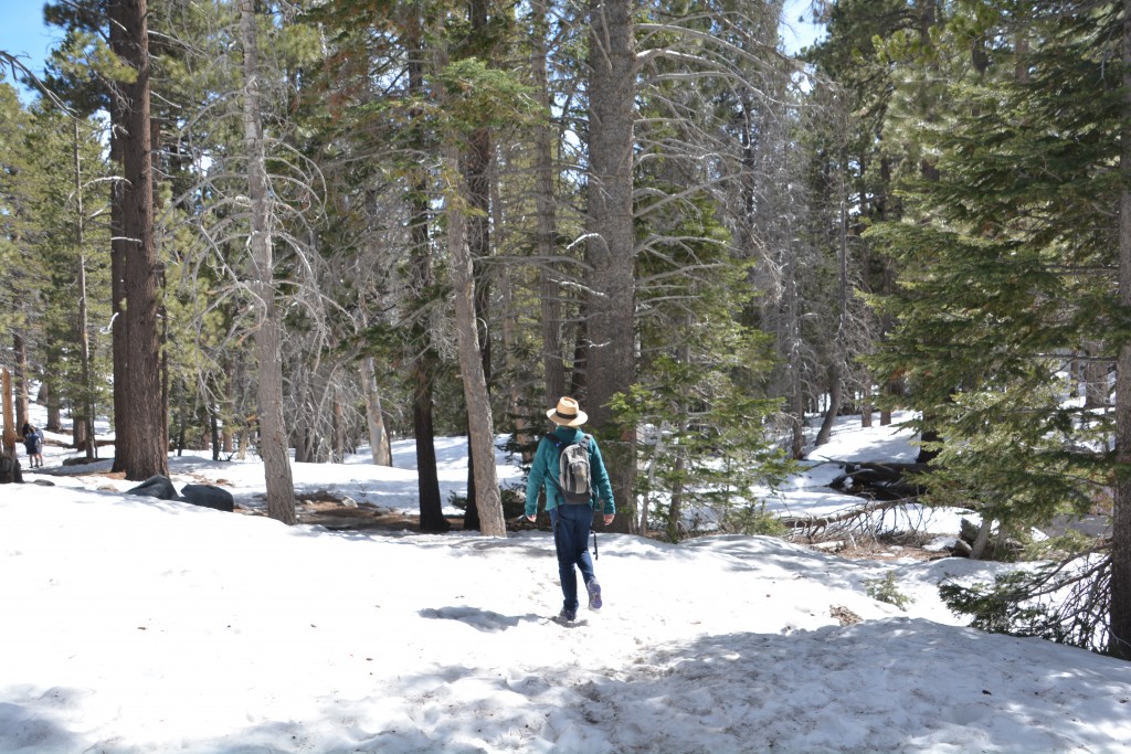 Julie negotiating a slippery trail along the rim of the mountains