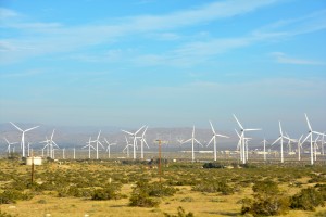 Who's complaining about windmills? This place thrives on them for much need electriicity