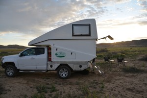 Tramp curls up for a good night's sleep in the open desert managed by the BLM