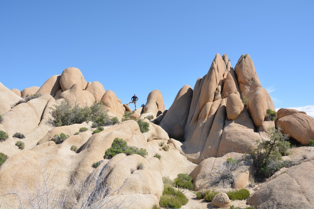 Hey, I'm up here, can't you see me?