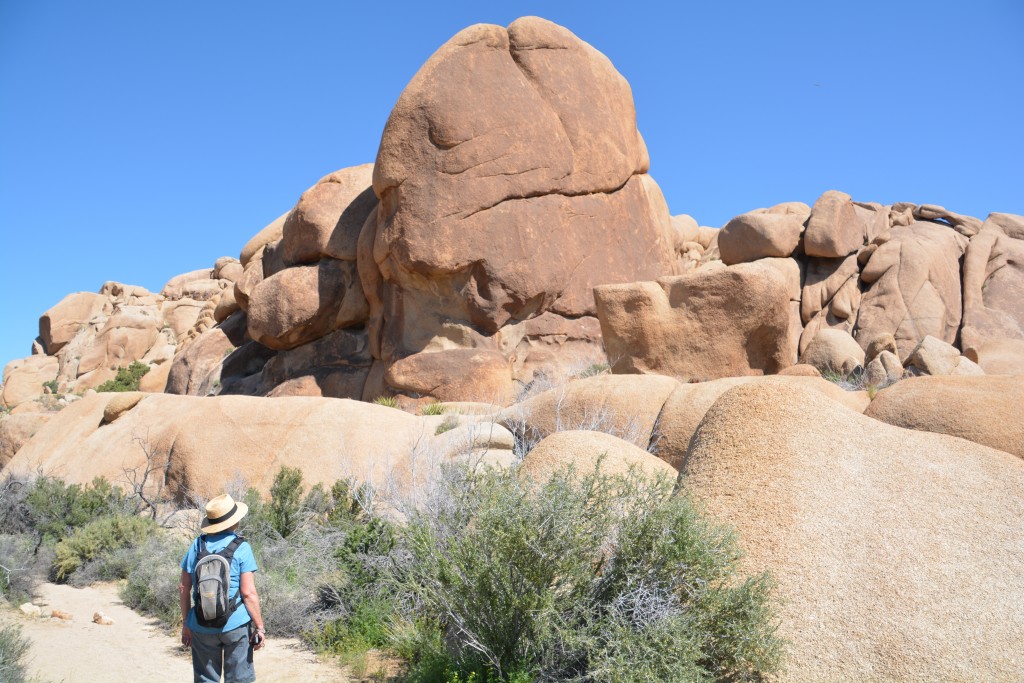 Julie checking out some of the local action