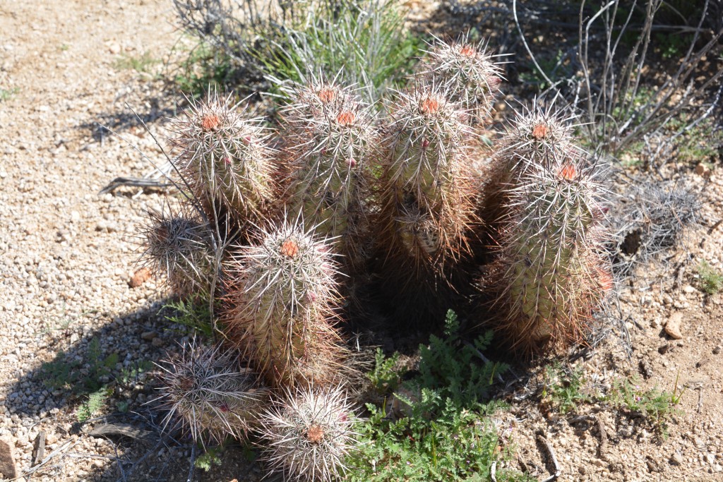 These have a name but I'm not telling you