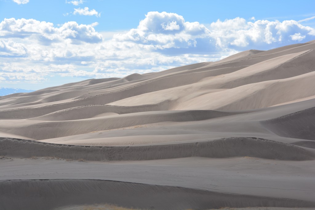 One more sand dune photo because they are very cool - as Julie said, they seem almost unreal