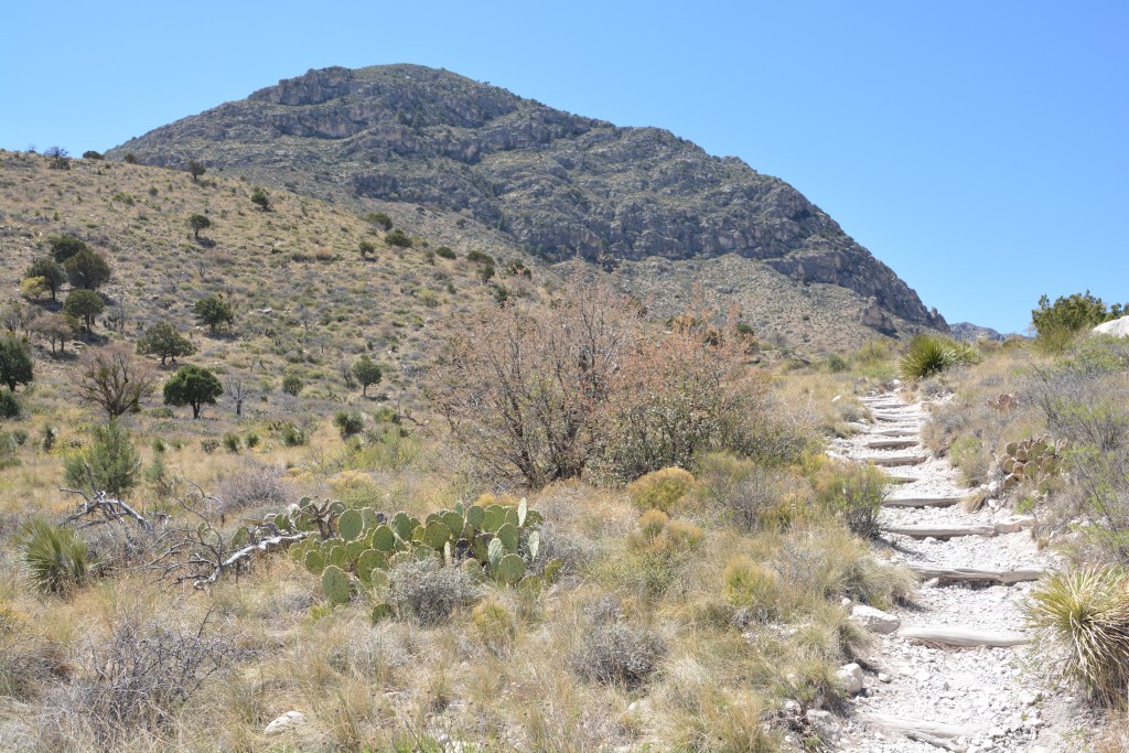 Guadalupe National Park provided us with grand desert views on our two walks