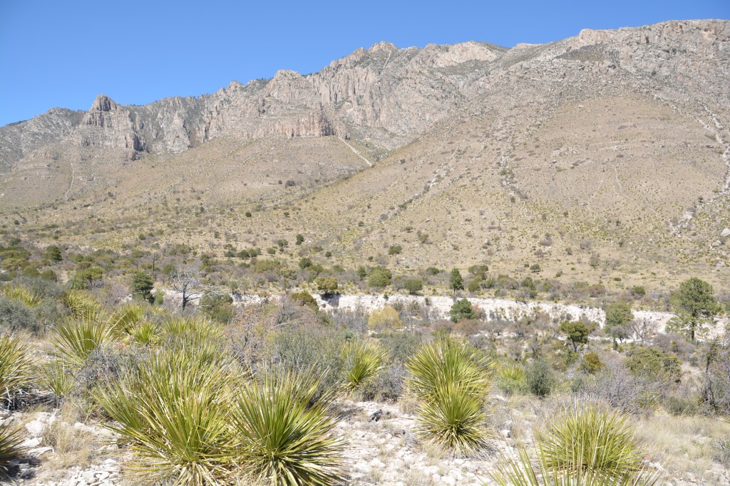 Can't get enough of these rough desert scenes