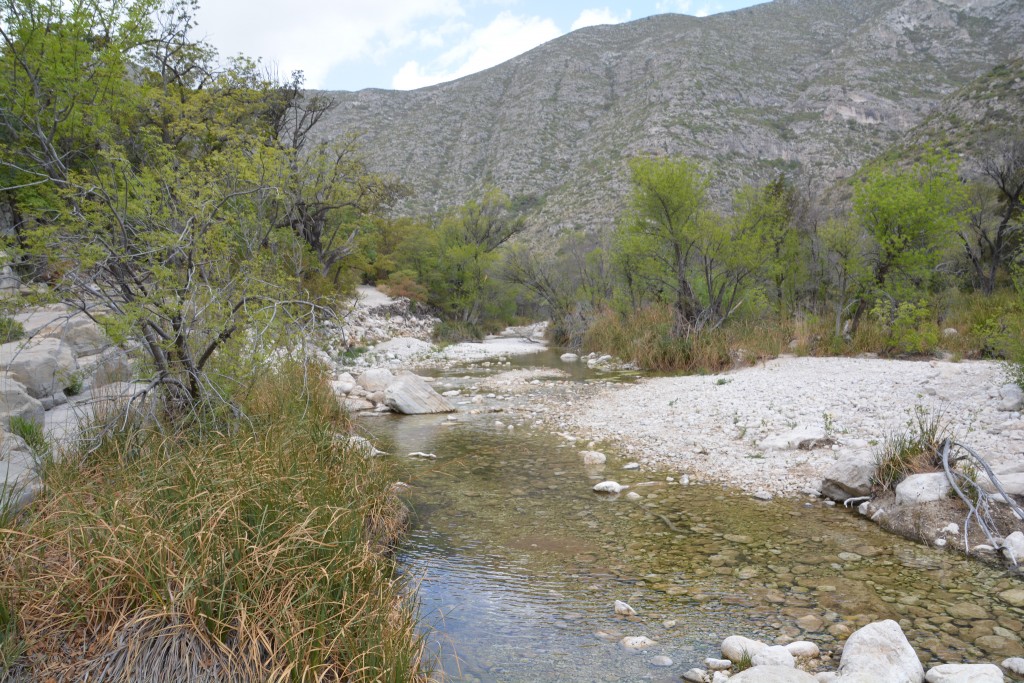The disappearing creek - it would seep into the limestone and then reappear further down stream