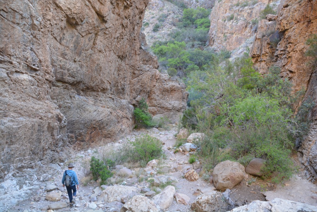 A great way to start the day - a narrow canyon with high vertical walls 