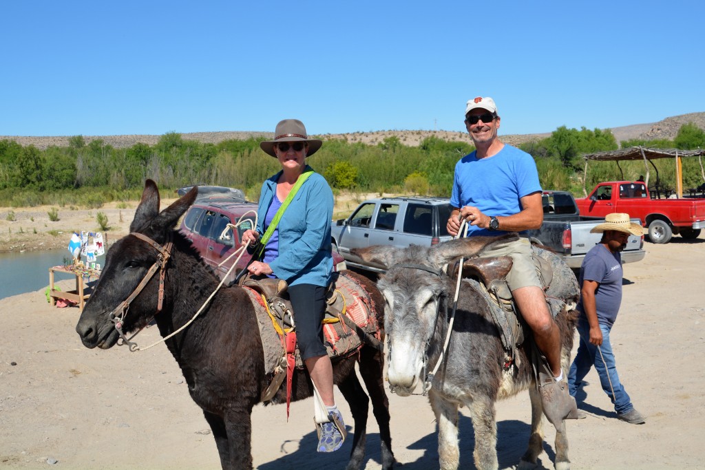 All those years of riding horses and they give me a burro with floppy ears