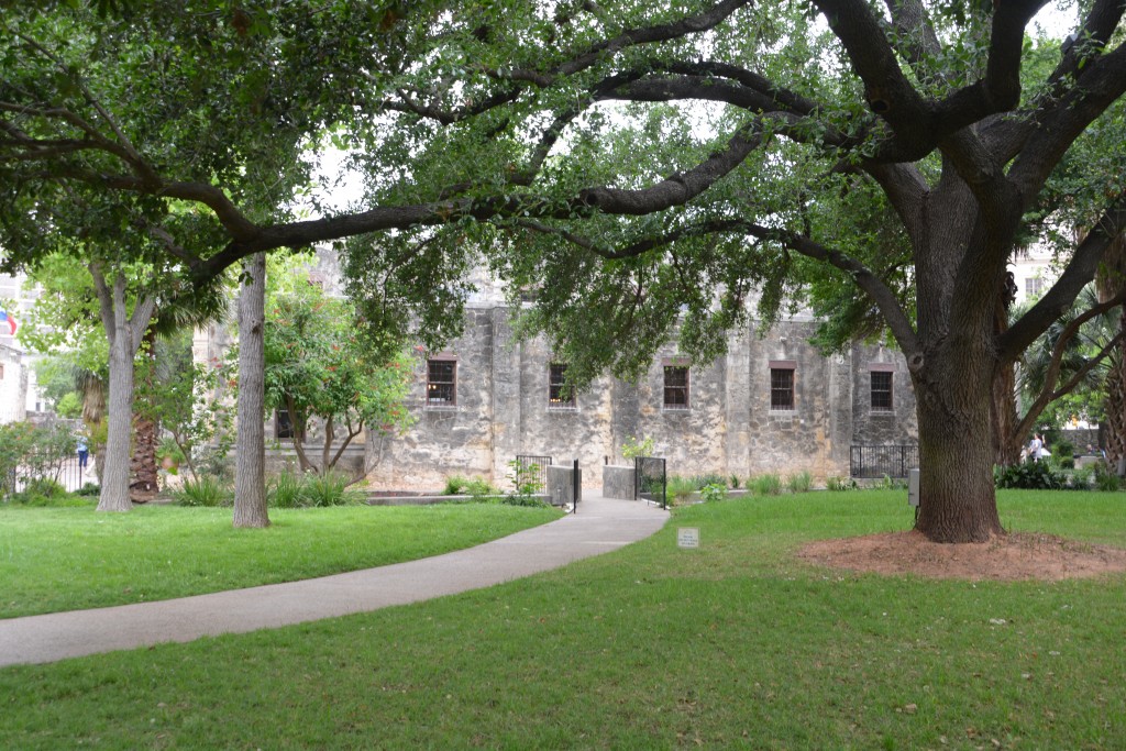 The Alamo is set in a peaceful garden surrounded by huge oaks and other graceful trees