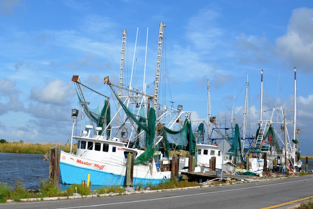 Fishing boats of all shapes and sizes ply the waters in southern Louisiana - a fisherman's paradise