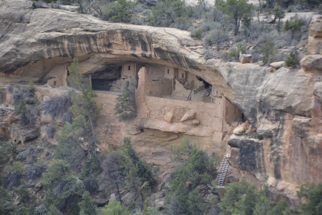 Balcony House, only accessible via a long wooden ladder