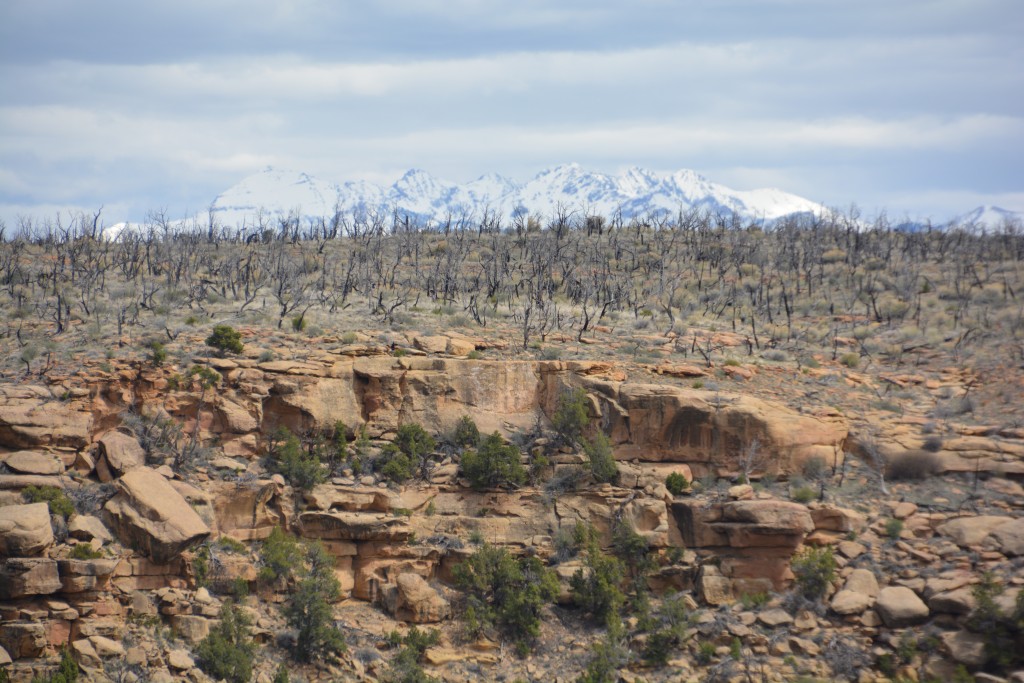 We enjoyed this scene - the top of the valley's escarpment wall, the burned out desert from a recent fire and the snow capped mountains in the back