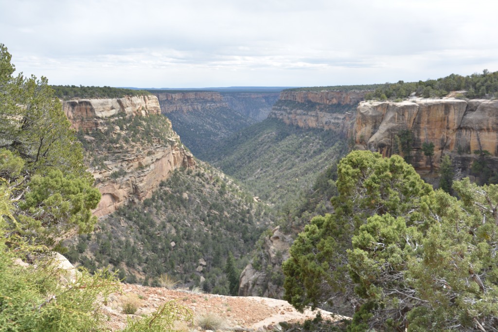 These ancient people found their homes amongst the caves lining these deep canyons