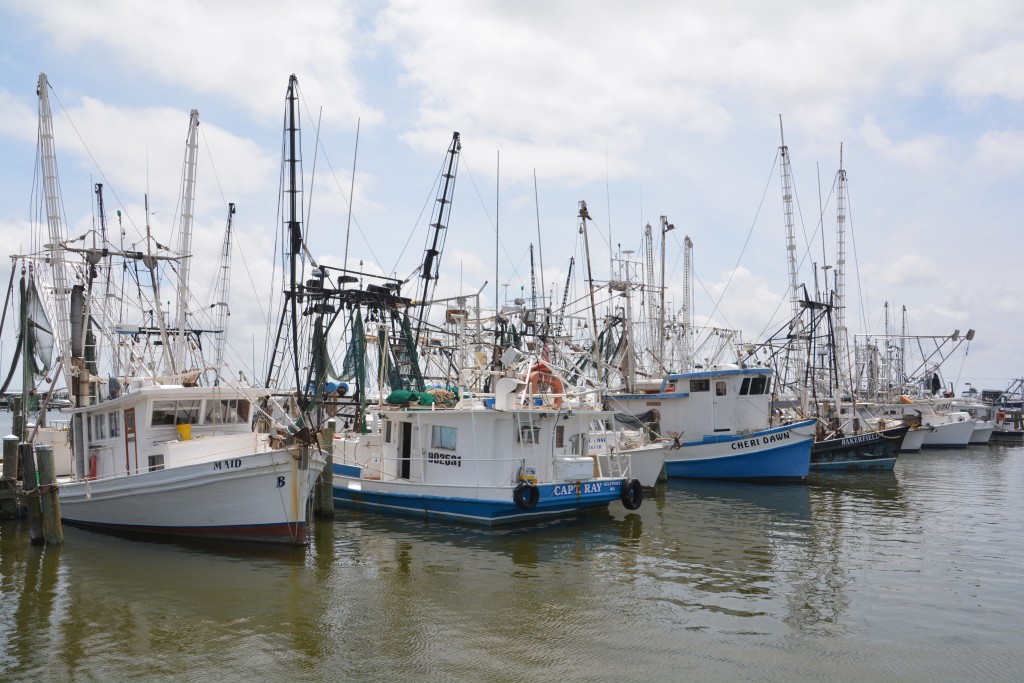 There were also some lively communities with a colourful fishing marina