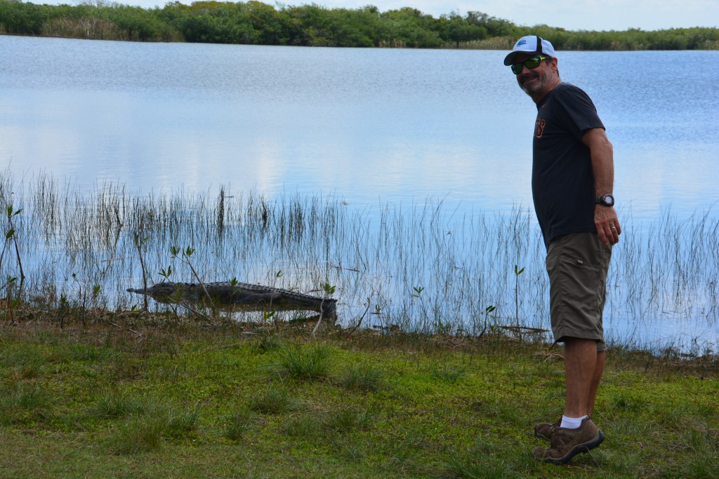 Bill bravely approaches an alligator from behind