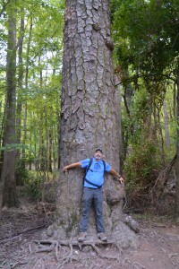 Hugging our favourite new pine tree - the Loblolly pine in Congaree National Park