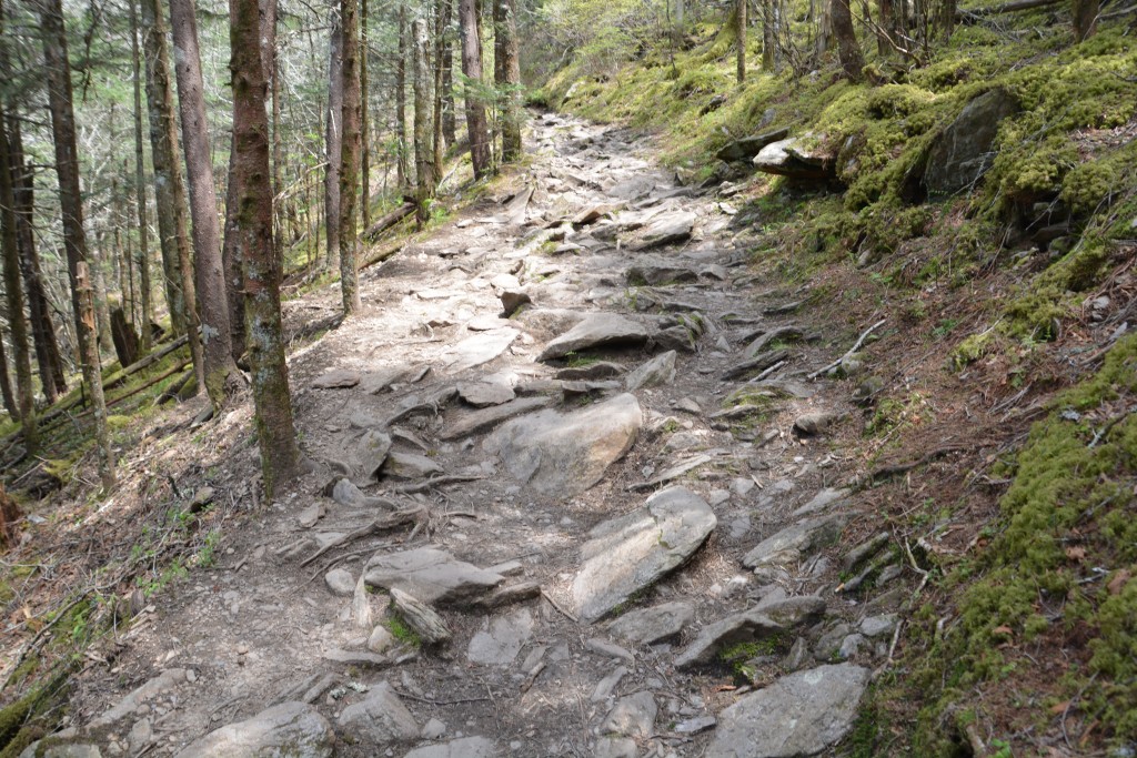 The Appalachian Trail was no picnic with a lot of up and downs over rough terrain
