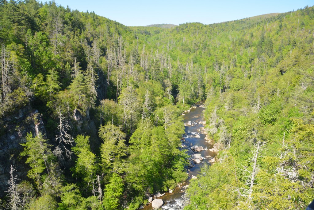 The Appalachians have many rivers that flow through them 
